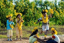 Lãng đãng mùa hoa dã quỳ trên cao nguyên Mộc Châu