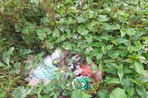 Cần nhân rộng mô hình bể chứa bao bì thuốc bảo vệ thực vật