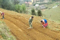 Việc bố trí đất ở, đất sản xuất cho đồng bào DTTS của Lào Cai gặp nhiều khó khăn do quỹ đất chưa đủ và kinh phí còn hạn hẹp.