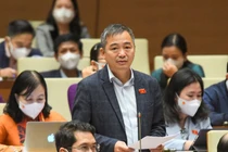 PGS.TS Nguyễn Lân Hiếu: Đơn giản và tường minh, lựa chọn cho giáo dục lúc này