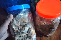 Thêm 2 người nhập viện cấp cứu sau khi ăn cá muối ủ chua