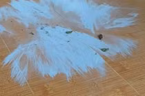 Quảng Ngãi: Xuất hiện bụi và mùi hôi, khét bất thường