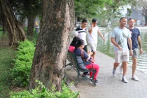 Cây sưa đỏ quý hiếm hàng trăm năm tuổi chết khô bên bờ hồ Hoàn Kiếm