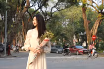 Mùa cây thay lá...