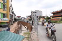 Hà Nội: Đê hữu Hồng vẫn chậm tiến độ