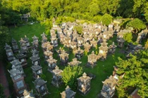 Thăm vườn tháp cổ đẹp và lớn nhất Việt Nam tại chùa Bổ Đà