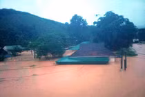 Nghệ An: Hàng ngàn ngôi nhà ngập trong biển nước ​