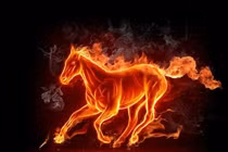 Chúc mừng 4 con giáp lọt top giàu nhất năm 2025, đố ai sánh kịp