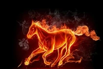 Chúc mừng 4 con giáp lọt top giàu nhất năm 2025, đố ai sánh kịp