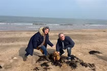 "Sinh vật ngoài hành tinh" bất ngờ lộ diện, chuyên gia nhức đầu giải mã 