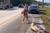 Quái thú tràn lên cao tốc, lính thủy đánh bộ lập tức tung đòn 