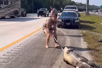 Quái thú tràn lên cao tốc, lính thủy đánh bộ lập tức tung đòn 