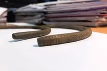 Sửa ống nước, người nông dân sướng run đụng trúng “báu vật” Trời ban 