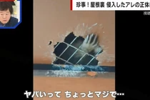 Điếng người khi thấy “bàn tay tái mét” thò ra từ trần nhà