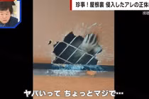 Điếng người khi thấy “bàn tay tái mét” thò ra từ trần nhà