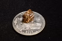 Vô tình nhặt được viên kim cương siêu khủng, thanh niên bỗng chốc đổi đời