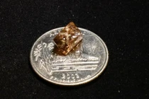 Vô tình nhặt được viên kim cương siêu khủng, thanh niên bỗng chốc đổi đời