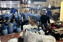 Chủ cơ sở sản xuất 30 tấn giá đỗ dùng thuốc cấm bị khởi tố