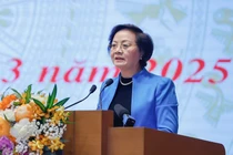 Sắp xếp cấp tỉnh, tổ chức lại cấp xã thận trọng, kỹ lưỡng