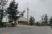 Lý do Hải Dương thu hồi đất của Công ty TNHH thực phẩm Tin Tin