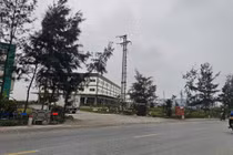 Lý do Hải Dương thu hồi đất của Công ty TNHH thực phẩm Tin Tin