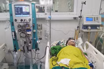 Cứu sống người bệnh hôn mê do ngộ độc hóa chất diệt cỏ Diquat