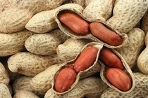 Bất ngờ lạc là nhân sâm giới ngũ cốc, chữa nhiều bệnh