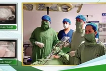 Nội soi bảo tồn cứu thai phụ 7 tuần bị xoắn buồng trứng