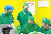 Hành trình sống khỏe cho cụ bà 88 tuổi sau ca mổ sa sinh dục nặng