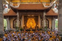 Lý giải khoa học về các phương pháp "chữa lành"