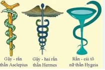 Những bí ẩn độc đáo của rắn trong thần thoại và y học các nước