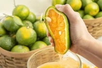 Loại nước nhiều canxi hơn sữa bò, uống đến đâu xương khỏe đến đó