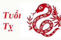 Tử vi người tuổi Tỵ