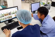 2 vợ chồng trẻ hôn mê sâu, suy đa tạng sau khi ăn nấm rừng