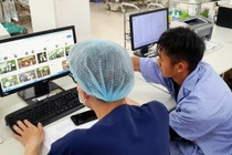 2 vợ chồng trẻ hôn mê sâu, suy đa tạng sau khi ăn nấm rừng