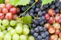 Trái cây được mệnh danh là “kẹo thiên nhiên” ngừa ung thư, tim mạch...