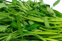 3 loại rau bổ hơn thịt, rẻ hơn thuốc: Sánh ngang nhân sâm tổ yến