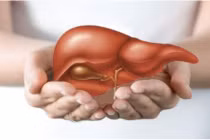 Thực phẩm "vạn người mê" là kẻ thù thầm lặng khiến gan tổn thương trầm trọng