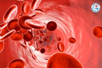 50% phụ nữ trẻ thiếu máu, thiếu sắt, hậu COVID-19 cần được quan tâm đúng mức