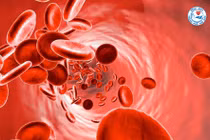 50% phụ nữ trẻ thiếu máu, thiếu sắt, hậu COVID-19 cần được quan tâm đúng mức