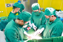 Cứu sống sản phụ thai ngoài tử cung góc sừng, khối lạc nội mạc tử cung