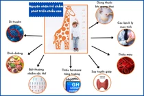 Bác sĩ mách cách nâng cao tầm vóc cho trẻ thấp còi