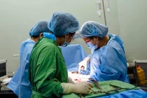 Phá thai ngoài viện một phụ nữ nguy kịch do choáng mất máu