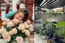 Cơ ngơi rộng 1.000 m2 giữa phố của Vân Trang