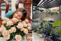 Cơ ngơi rộng 1.000 m2 giữa phố của Vân Trang