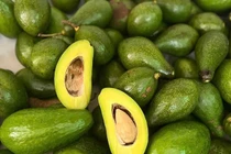 Bơ đầu mùa tăng giá gấp đôi