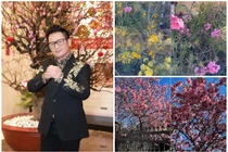 Ngắm khu vườn rực sắc hoa trong biệt thự 2.000 m2 của Bằng Kiều