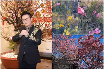 Ngắm khu vườn rực sắc hoa trong biệt thự 2.000 m2 của Bằng Kiều