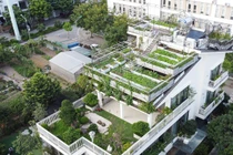 Ngắm vườn rau 300m2 phủ kín nóc biệt thự giữa Hà Nội