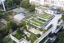 Ngắm vườn rau 300m2 phủ kín nóc biệt thự giữa Hà Nội